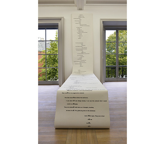 Fungalland and the Standed Mother Whale Trondheim Kunst Museum Norway 2012
